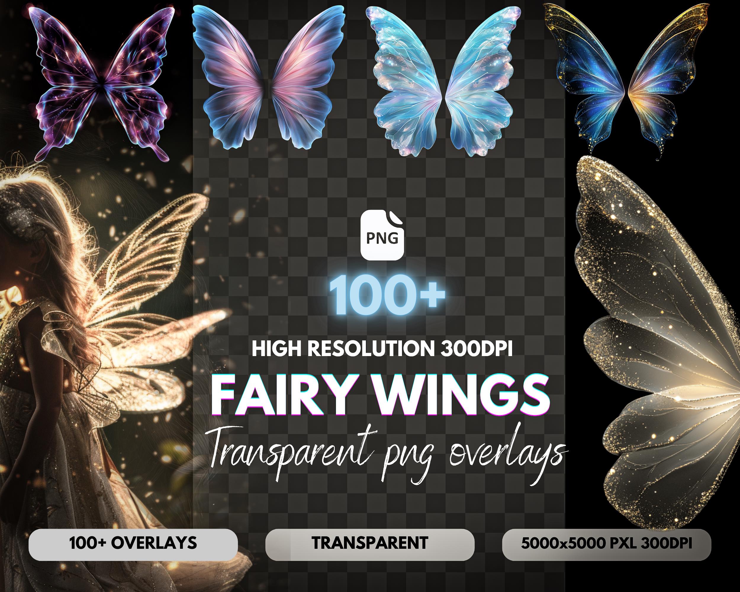 Fairy Wing Overlays: Glitter, Lace, Tulle PNG (Digital Download)