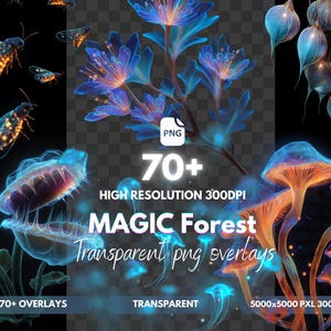 Puede incluir: Ilustración digital con hongos, flores e insectos azules y naranjas brillantes. La imagen incluye el texto "MAGIC Forest Transparent png overlays" y "70+ overlays". Alta resolución, 300 DPI.