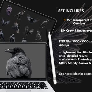 Gotiska kråka och korp clipart-överlägg: Witchcore PNG-filer (digital nedladdning bild 3
