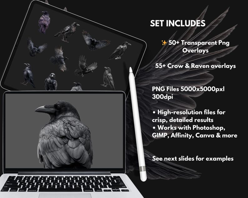 Gotiska kråka och korp clipart-överlägg: Witchcore PNG-filer (digital nedladdning bild 3