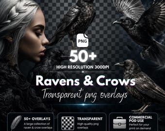 Gothic Crow & Raven Clipart Overlays: Witchcore PNG Files (Digital Download