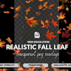 Autumn Leaves PNG Overlays: Falling Leaf Clipart (Digital Download)