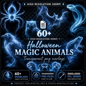 Sovrapposizioni PNG di animali spirituali luminosi: effetti di luce fantasy (download digitale)
