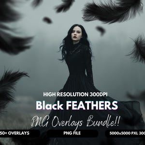 Op de afbeelding: Een vrouw in een zwarte jurk met zwarte veren die om haar heen zweven. De afbeelding bevat de tekst "Black FEATHERS PNG Overlays Bundle!!" en "50+ OVERLAYS". De afbeelding is van hoge resolutie, 300 DPI, en het PNG-bestand is 5000x5000 PXL.
