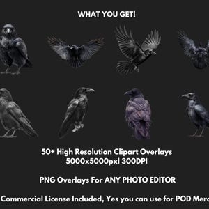 Gotiska kråka och korp clipart-överlägg: Witchcore PNG-filer (digital nedladdning bild 2