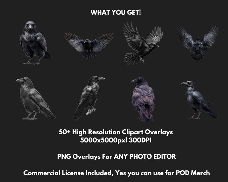 Gotiska kråka och korp clipart-överlägg: Witchcore PNG-filer (digital nedladdning bild 2