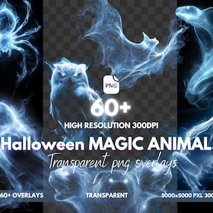 Puede incluir: Una colección de más de 60 superposiciones PNG transparentes con animales mágicos de Halloween azules y brillantes. Incluye una araña, un murciélago, un búho, una serpiente, una rana y un oso. Texto: "Halloween MAGIC ANIMALS" y "Transparent png overlays".