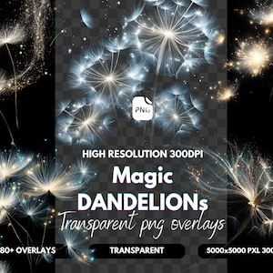 Puede incluir: Arte digital con múltiples superposiciones de dientes de león sobre un fondo transparente. La imagen incluye texto que dice "Magic Dandelions Transparent png overlays" y "80+ overlays". La imagen es de alta resolución, 300 DPI.