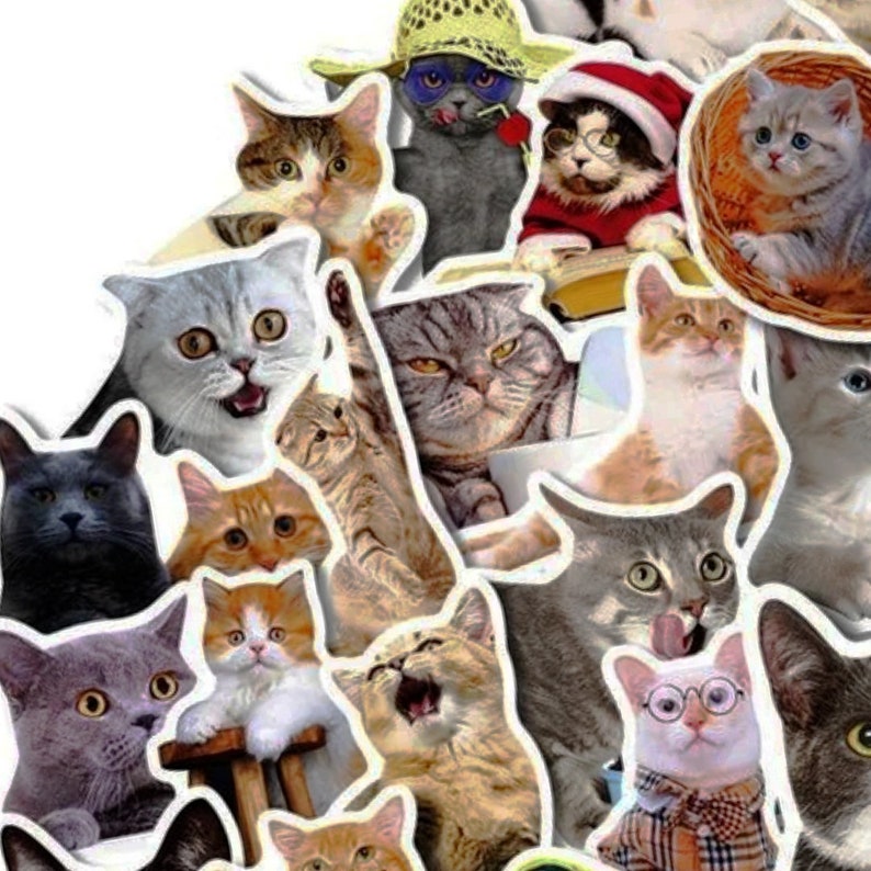 2 Styles Funny Cats Sticker Pack Cat Meme Stickers for Kindle Etsy