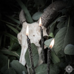 May include: Four black taper candles are lit and burning in front of a white animal skull with horns. The skull is surrounded by green foliage.
