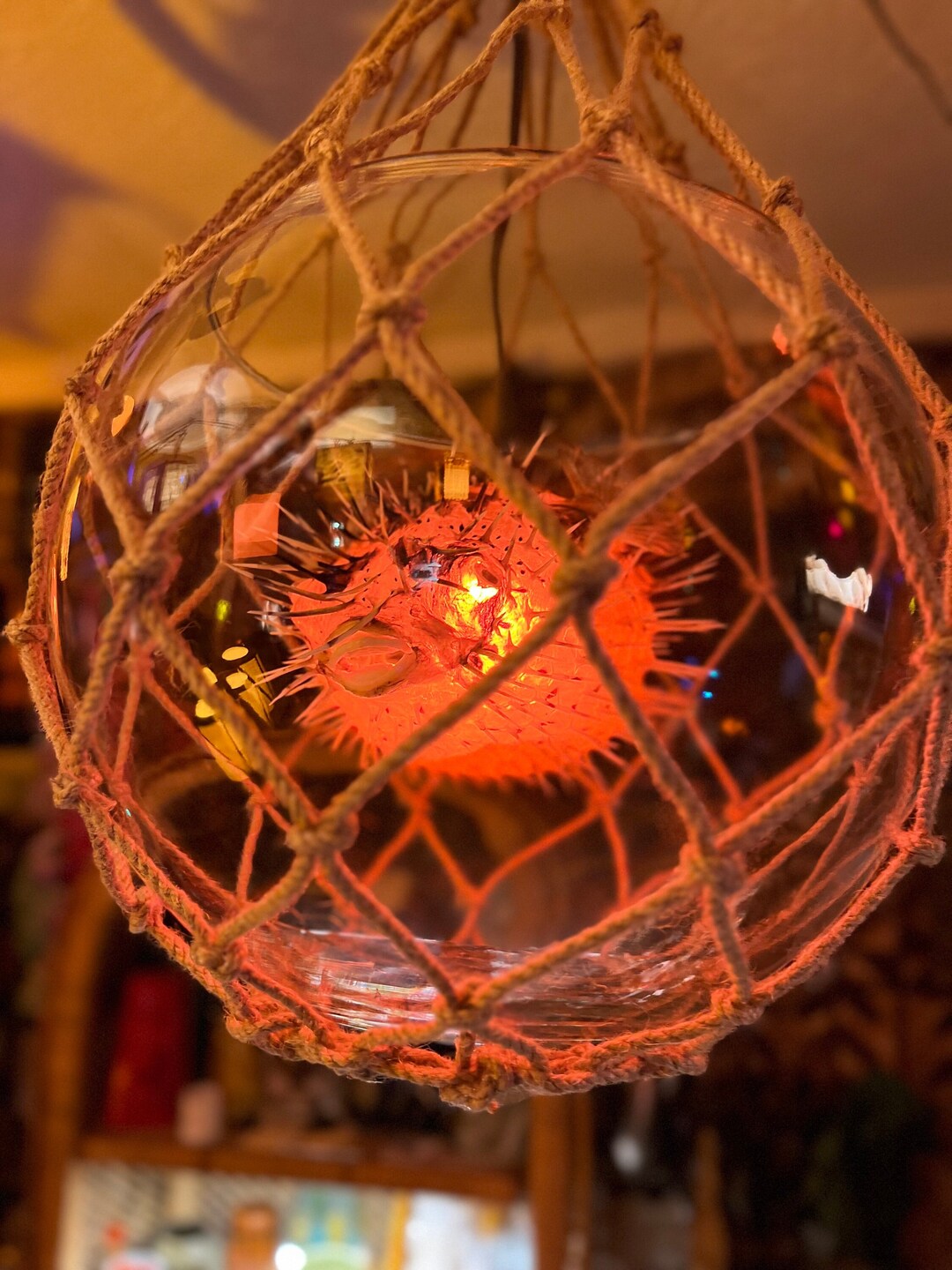Tiki Lamp Puffer Fish in Float Glass Light Pendant Ceiling Decor Bar Lounge Room Handmade Net