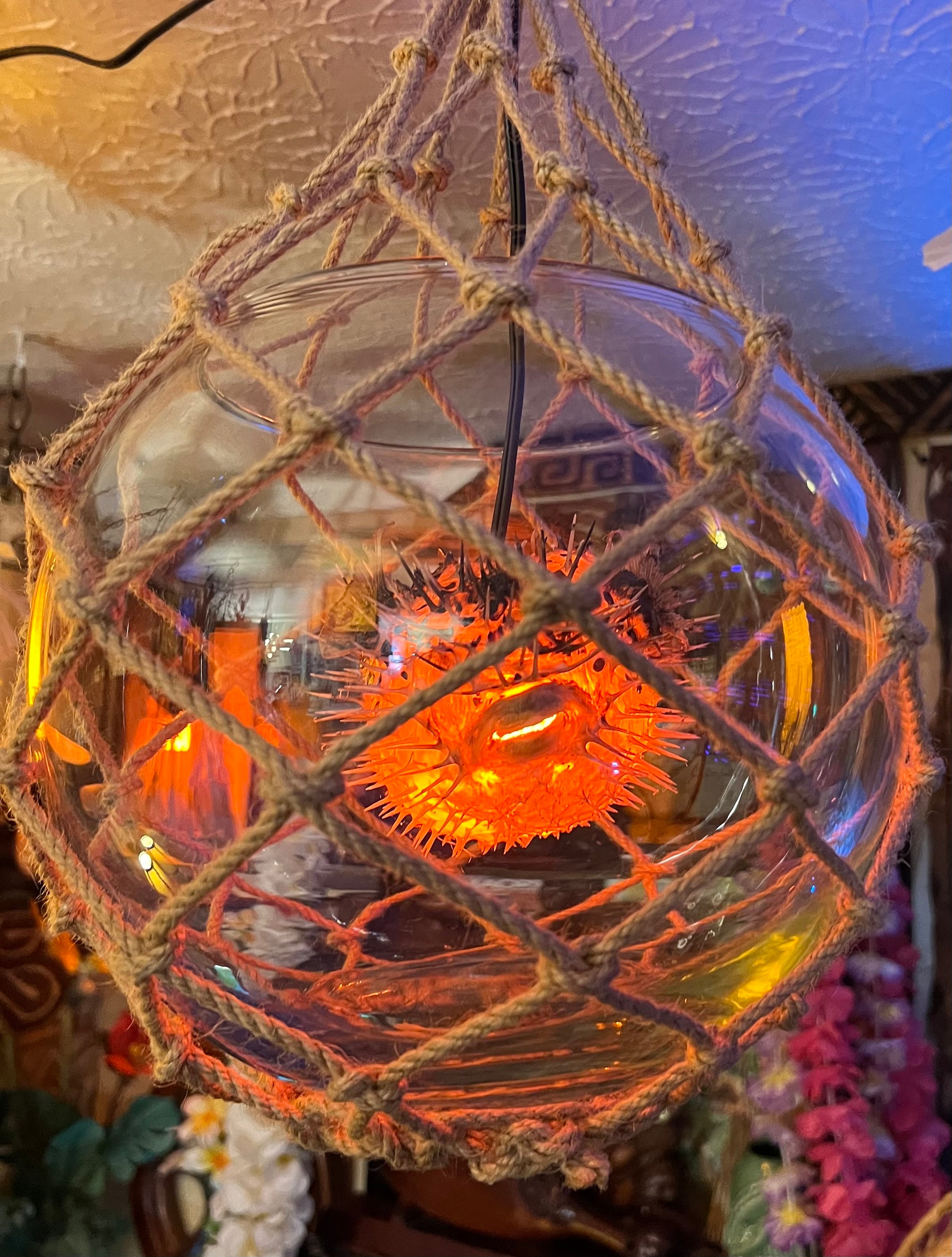 Tiki Lamp Puffer Fish in Float Glass Light Pendant Ceiling Decor Bar Lounge  Room Handmade Net Jute Rope New Wiring Tropical Boho 10 Size 