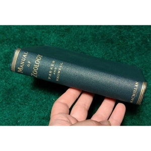 1927 MANUAL OF ZOOLOGY T Jeffrey Parker Macmillan Vintage College Textbook