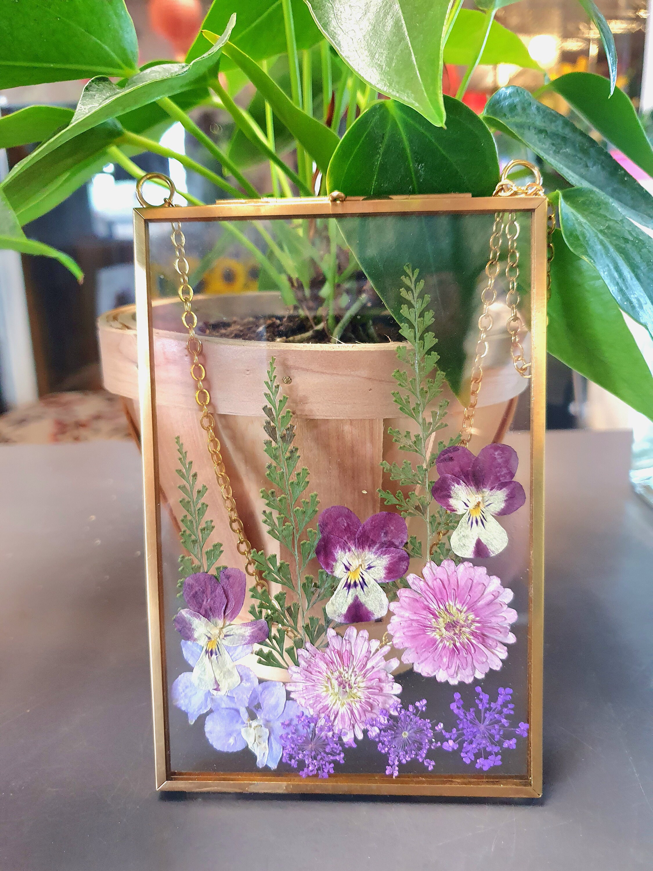 Wall Art Dried Pressed Real Flowers in Glass Frame 4x6 Inches Etsy
