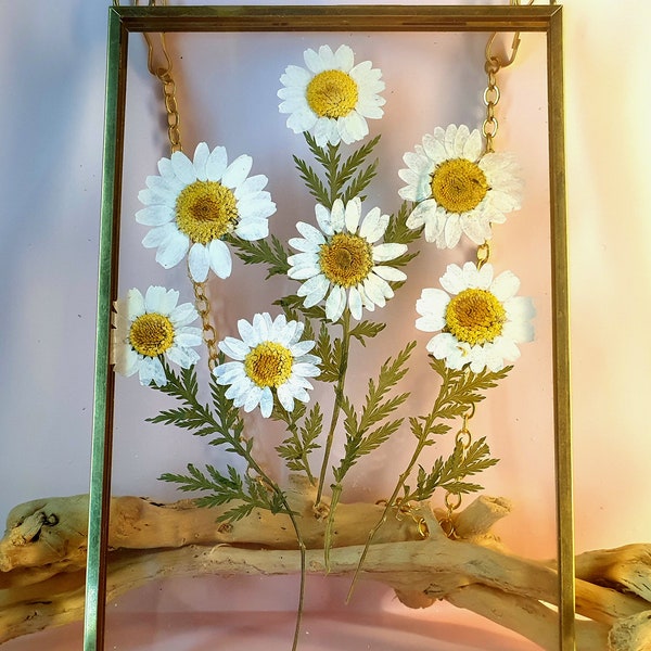 Wall Art Dried Pressed Real Flowers in Glass frame 4x6 inches, hanging wall art, double sided glass, framed glass decor,Birthday , mom gift,