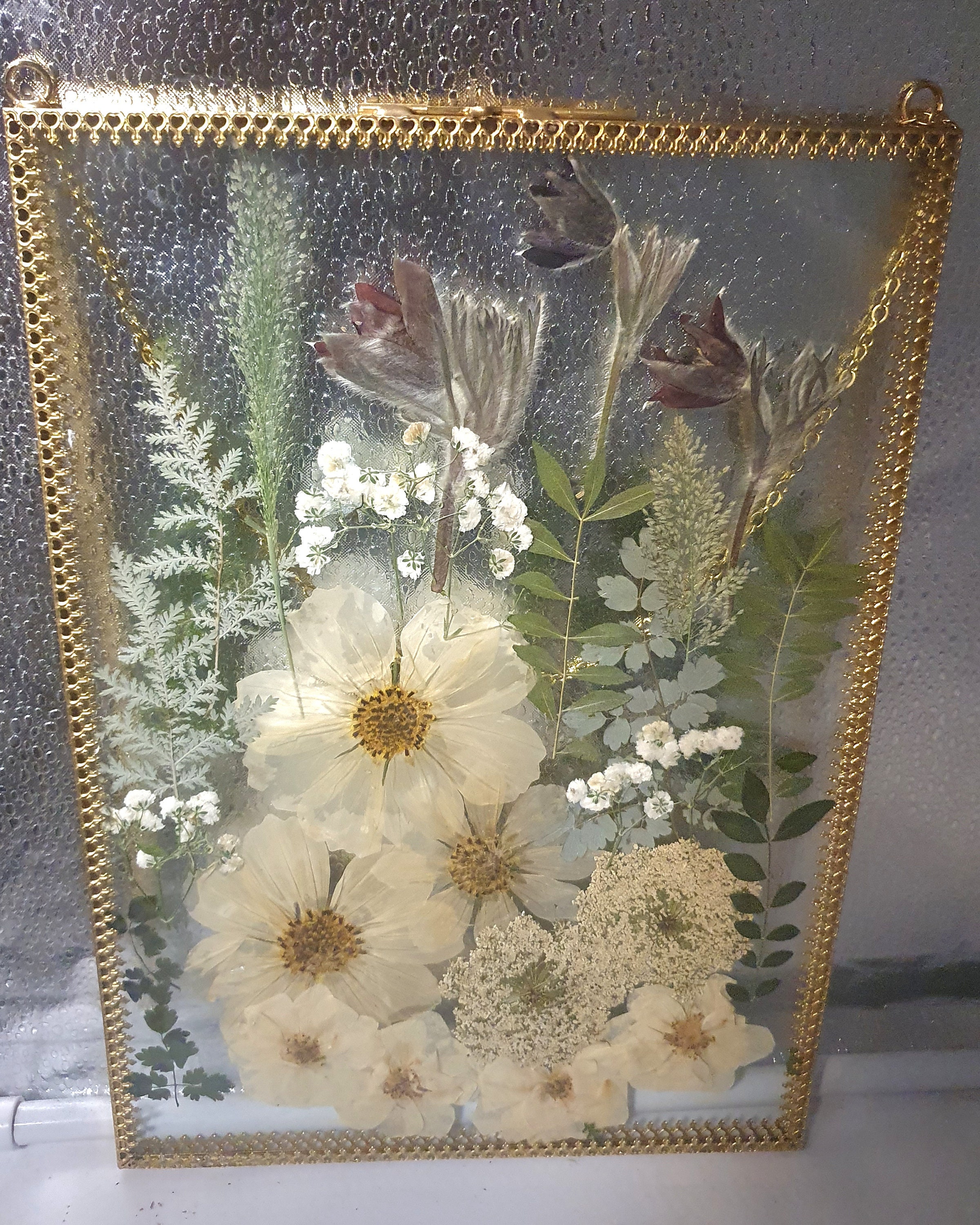 Wall Art Dried Pressed Real Flowers in Glass Frame 8x12 Inches,hanging