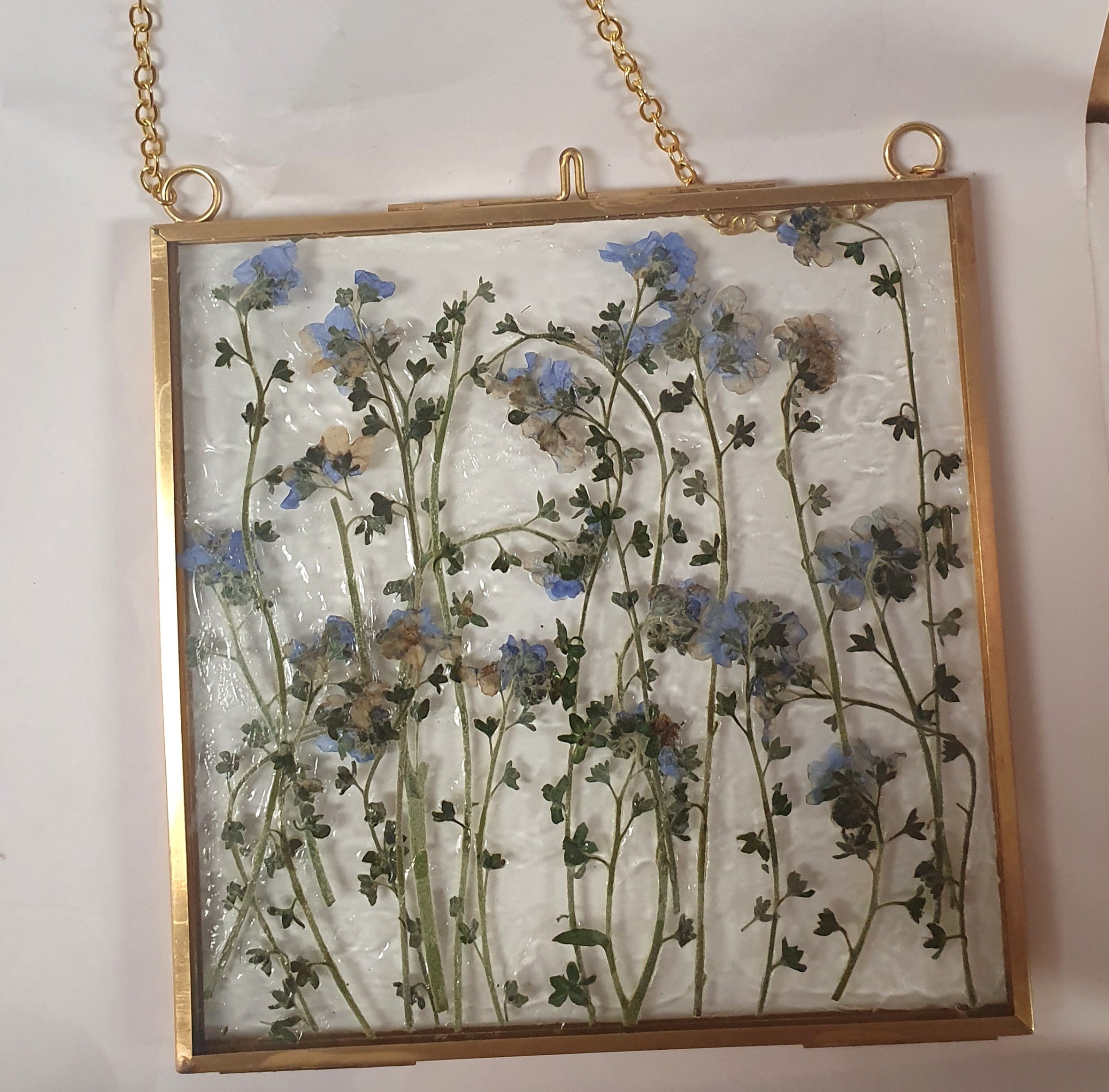 Wall Art Dried Pressed Real Flowers in Glass Frame 5x5 Inches,hanging
