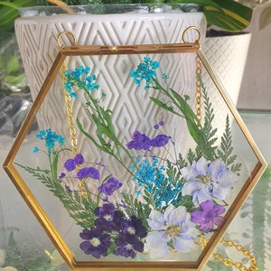 Wall Art  Dried Pressed Real Flowers in Glass frame 5  inches hexagon hanging wall art,double sided glass,framed decor, birthday gift, gift.