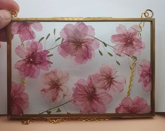 Cherry blossom Wall Art Dried Pressed Real Flowers in Glass frame 6x4 inches, glass frame home decor,Birthday, mom,anniversary, holiday gift