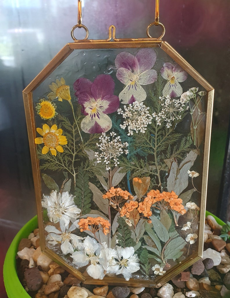 Wall Art Dried Pressed Real Flowers in Glass Frame Octagon 4x6 Hanging