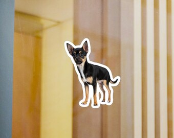 Chihuahua vinile adesivo decalcomania