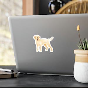 Naklejka winylowa Golden Labrador Retriever