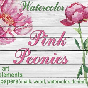 30 Digital  Watercolor Pink Peonies clip art, floral Digital Collage,  Instant Download, clip 63