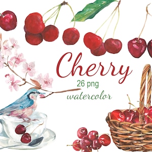 Digital Watercolor Cherry Berries Clipart, printable Digital Scrapbooking, blossom Clip art, Digital Collage, Instant Download, clip 103