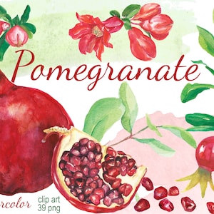 Digitale Aquarell Granatapfel Clipart, druckbare Obst Scrapbooking, Essen ClipArt, digitale Collage, Instant Download, Clip 96