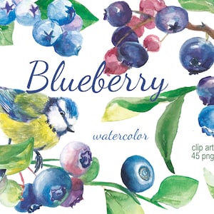 Digital Watercolor Blueberry Clipart, printable berries Scrapbooking, Food Clip art, Digital Collage, Instant Download, clip 97