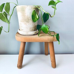 May include: A small, wooden plant stand with a potted plant. The plant has green leaves and vines that drape over the side of the pot. The pot is off-white with a matching saucer. The stand has four legs.