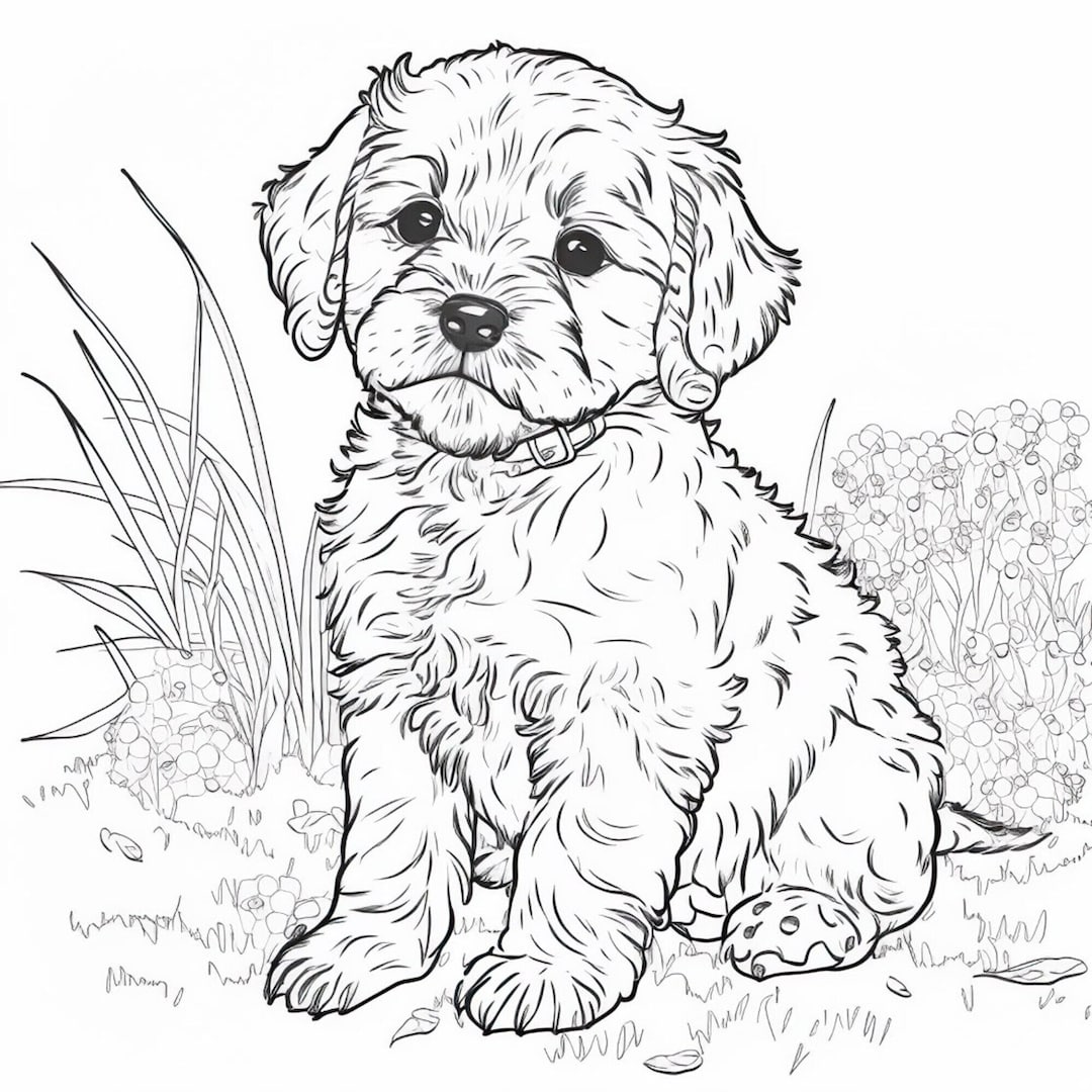 4 Pages Educational Real Animals Coloring Book for Kids and Adults.high