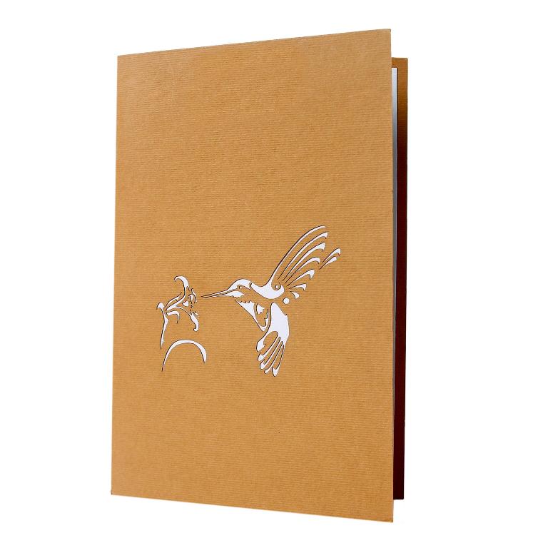 3D Pop Up Hummingbird Birthday Card With Envelope Greeting Cards
