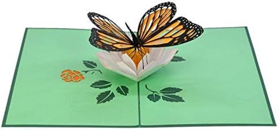 Pop-Up Geburtstagskarte Mit Schmetterlingen & Blumen – 3D Grußkarte Mit Umschlag, 16x8 Cm