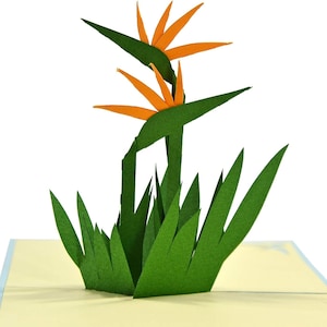 Paradiesvogel Blume Pop Up 3D Karte. Blumen Frühlingskollektion. Für Tochter,Mama,Freund,Enkelin,Ehefrau, Schwester,Oma15cmx15cm