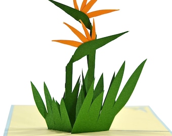 Bird of paradise flower Pop Up 3D card. Flower Spring Collection. For Daughter, Mum, Friend, Granddaughter, Wife, Sister, Grandma15cmx15cm