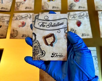 GI Pins Set – Stomach, Pancreas, Liver & Intestines - Notebook - Gift for nurses and doctors