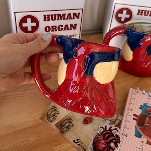 May include: A red and blue ceramic mug shaped like a human heart. The mug is sitting on a wooden table with a sticker of a heart on it. The mug is packaged in a white box with the words "Human Organ" printed on it.