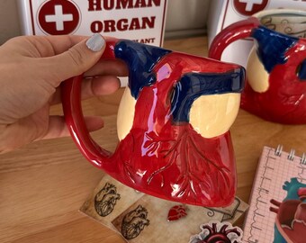Heart Anatomy Mug