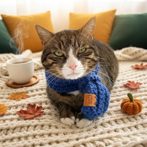 Peut inclure: Un chat tigré portant une écharpe bleue tricotée avec une petite étiquette marron avec le mot "LOVE". Le chat est allongé sur une couverture tricotée de couleur crème, avec une tasse de café et des feuilles d'automne à proximité. Une petite citrouille orange est également présente.