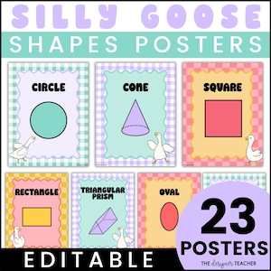 Silly Goose Classroom 2D 3D Printable Shapes Posters | Gingham Checkered Cute Digital Download Decor