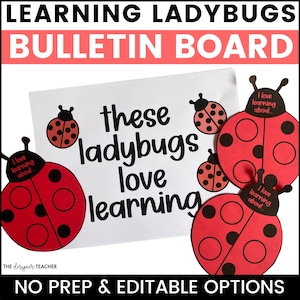 Spring March April May Ladybug Bulletin Board Craft and Door Decor