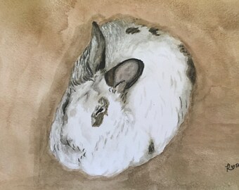 4 Blank Rabbit Greeting Cards, 4.25x5.5