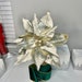see more listings in the Weihnachtsblumen section