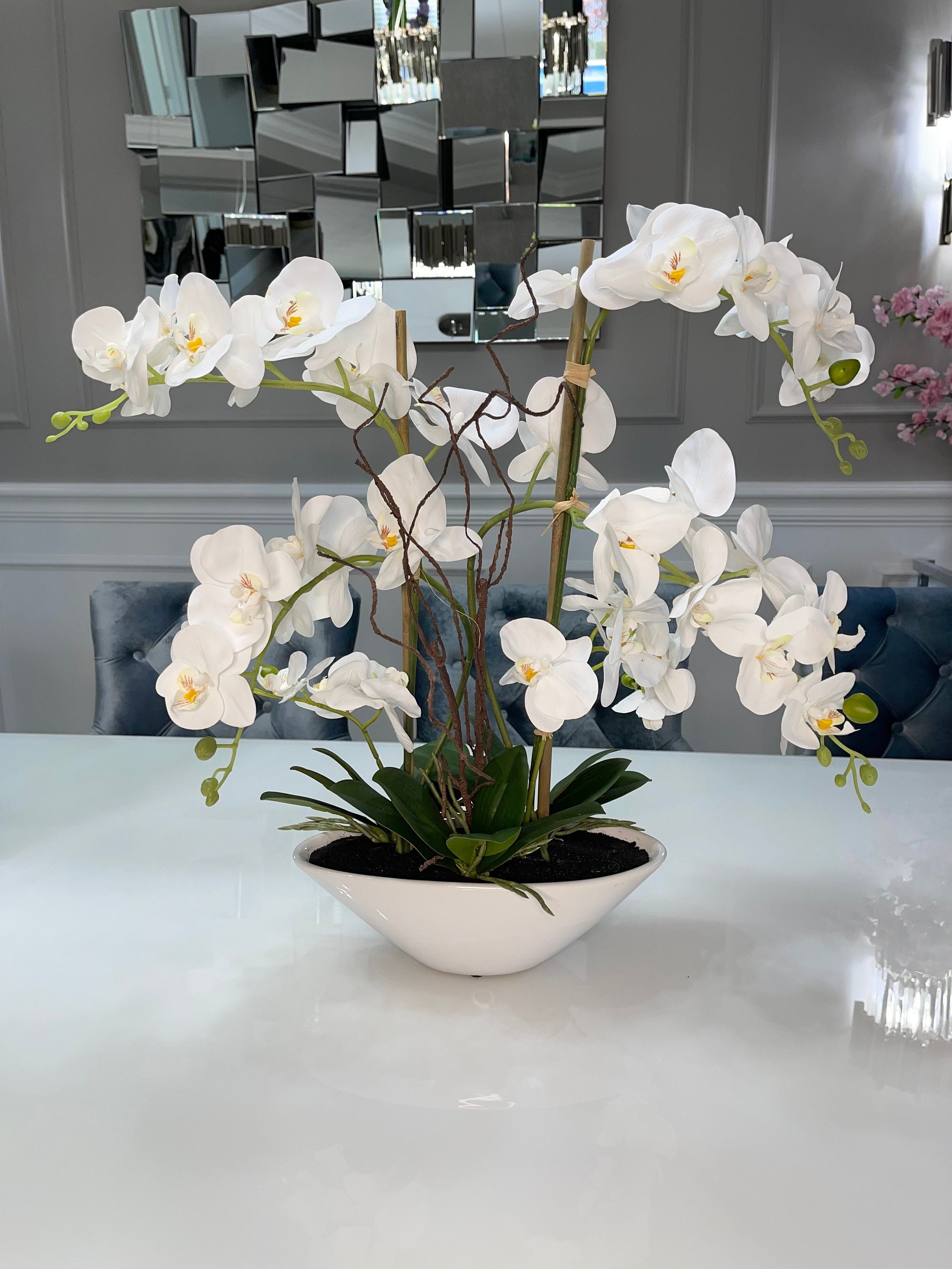 White Phalaenopsis Orchid - Empty Vase Floral Arrangement