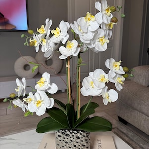Amelie Real Touch Phalaenopsis Orchid Arrangement Silver Ceramic Vase