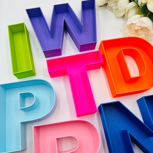 Letras huecas rellenables de 6,5" independientes Buzón vacío Letras de bloque independientes para decoraciones Letras con iniciales de nombres de bebés Flores artificiales