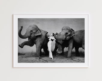 Dovima With Elephants, Black and White Photography Prints, Iconic Photos, Large Black and White Fashion Wall Art, Fashion Photography