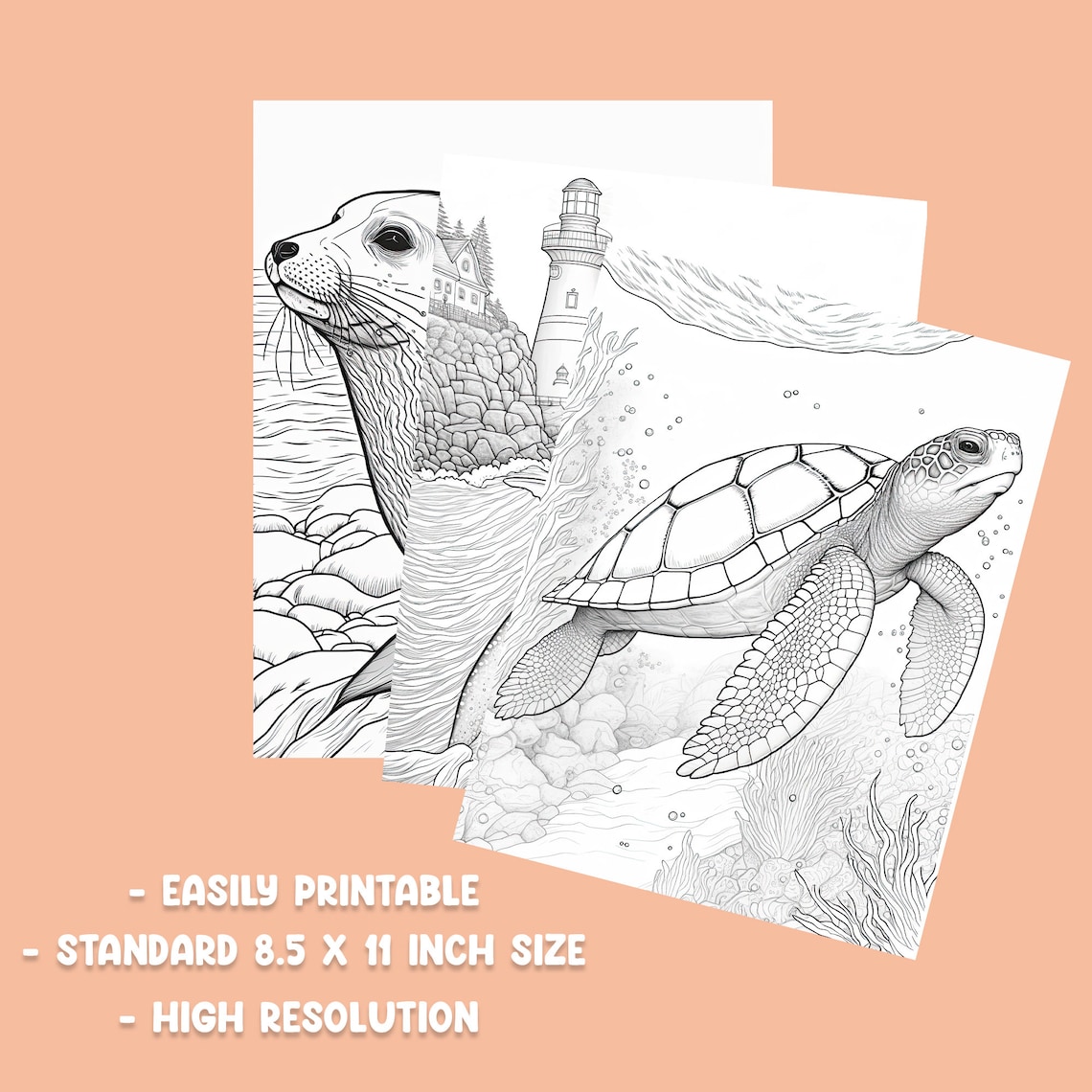 Printable Ocean Coloring Book Pages Ocean Theme Coloring - Etsy