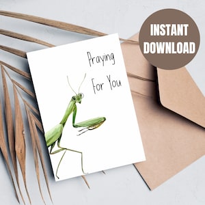 Printable Praying Mantis Digital Card, praying for you Praying Mantis printable card, 5x7 Praying for you Digital thinking of you card